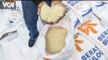 تعديل الأسعار.. تفاصيل القيمة الجديدة لبيع الأرز لمنظومة SPHP بنظام الدفع الكاش